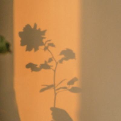 疯妖记手游bt果盘版下载