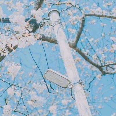 灵剑劫内购破解版下载