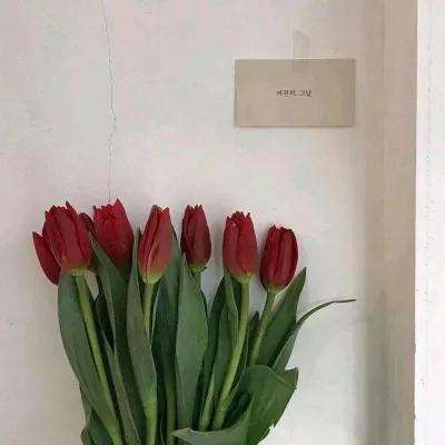 封仙之凡人修仙传手游下载